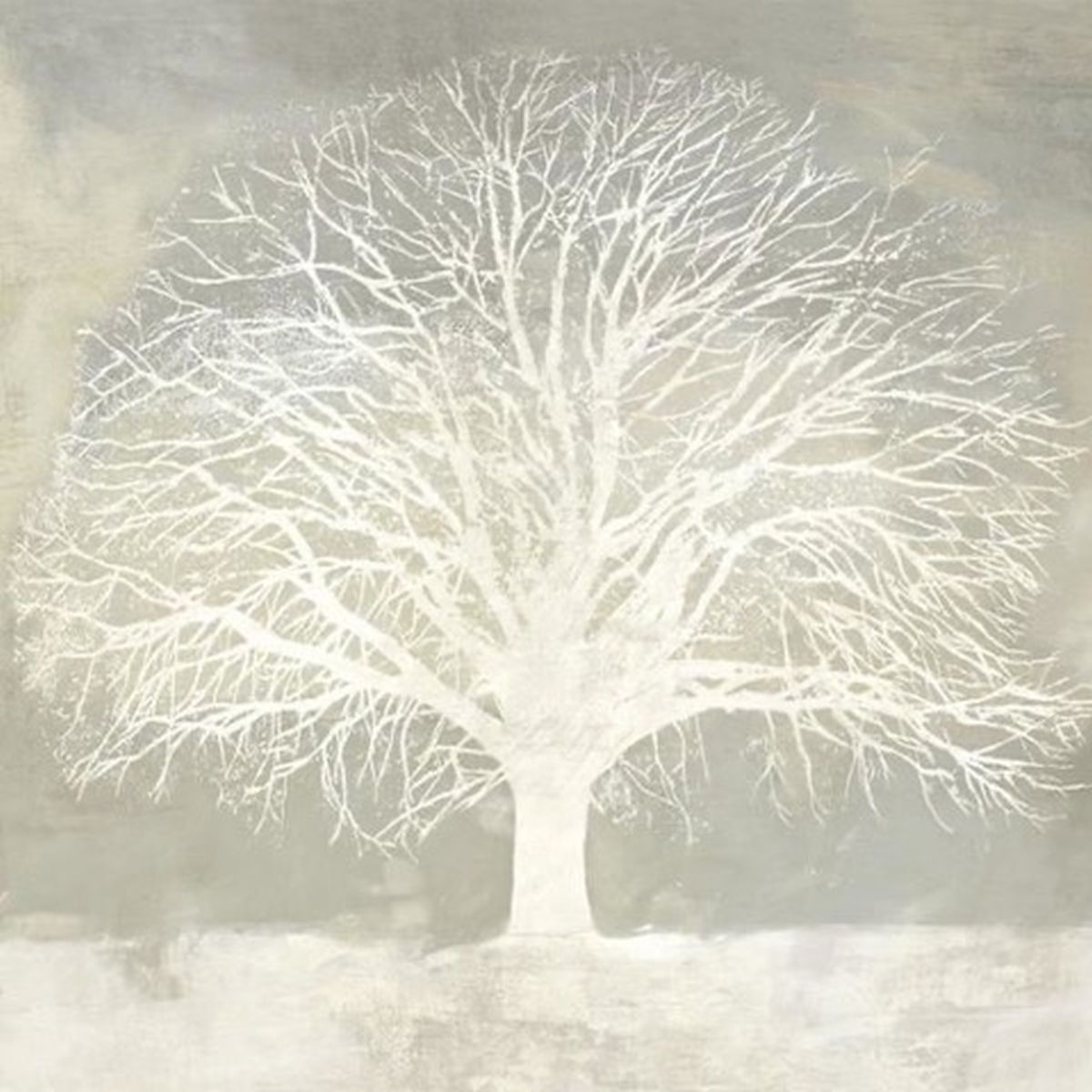 White Oak (Digital Print)
Size: 30 X 30
Artist: Alessio Aprile