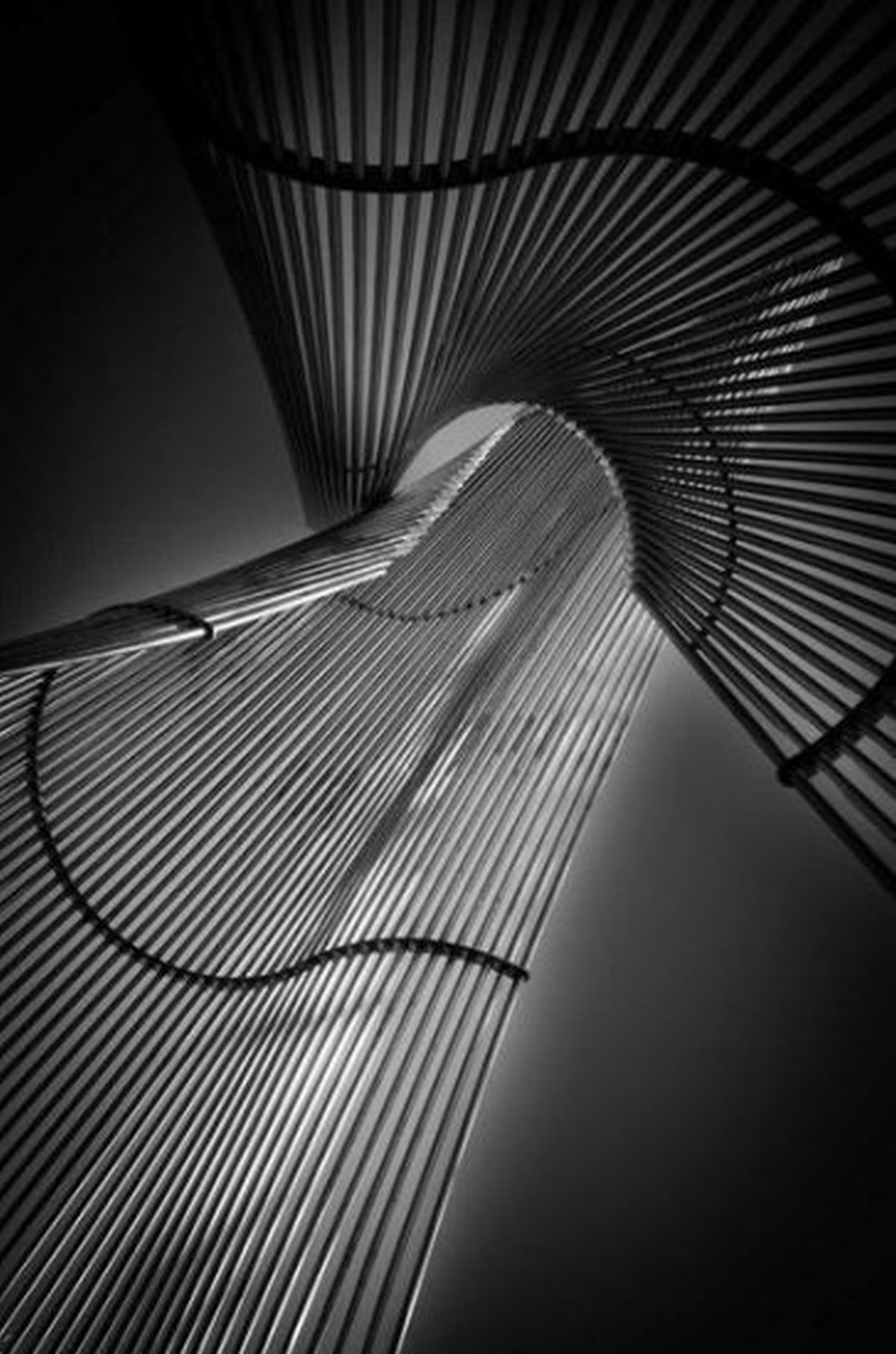 Steel Frame (Digital Print)
Size: 14 1/2 X 22
Artist: Le Vue Cuong